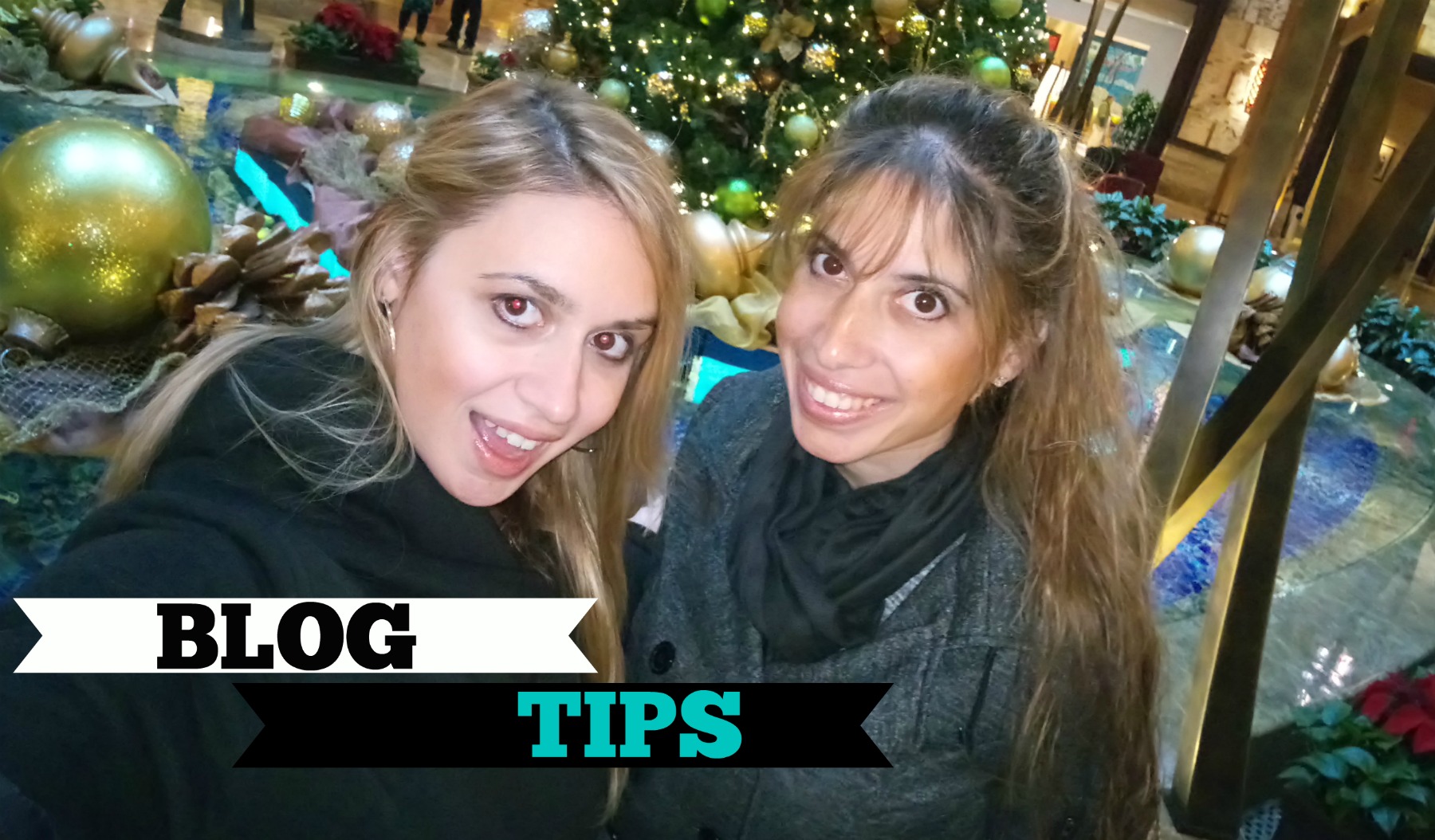 Expert Blog Tips Video 2016